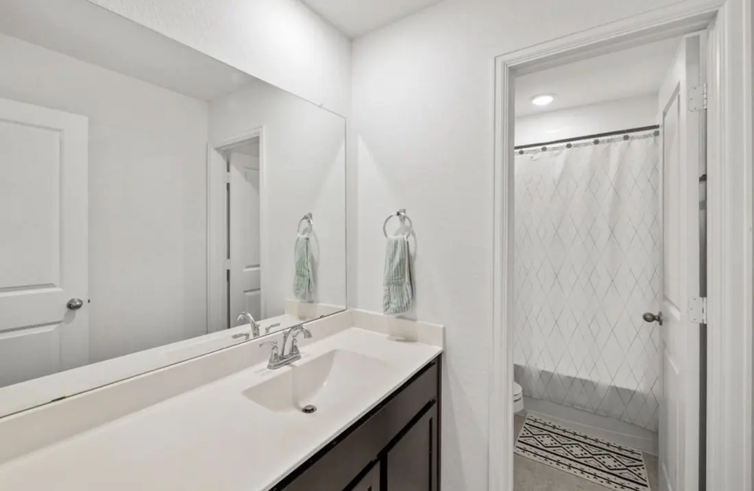 Bathroom vanity with the shower and toilet through a separate door